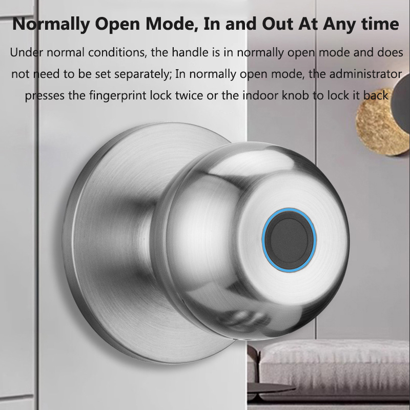 Tuya Door Lock Smart Fingerpri - Smart Home Lock 评论和价格