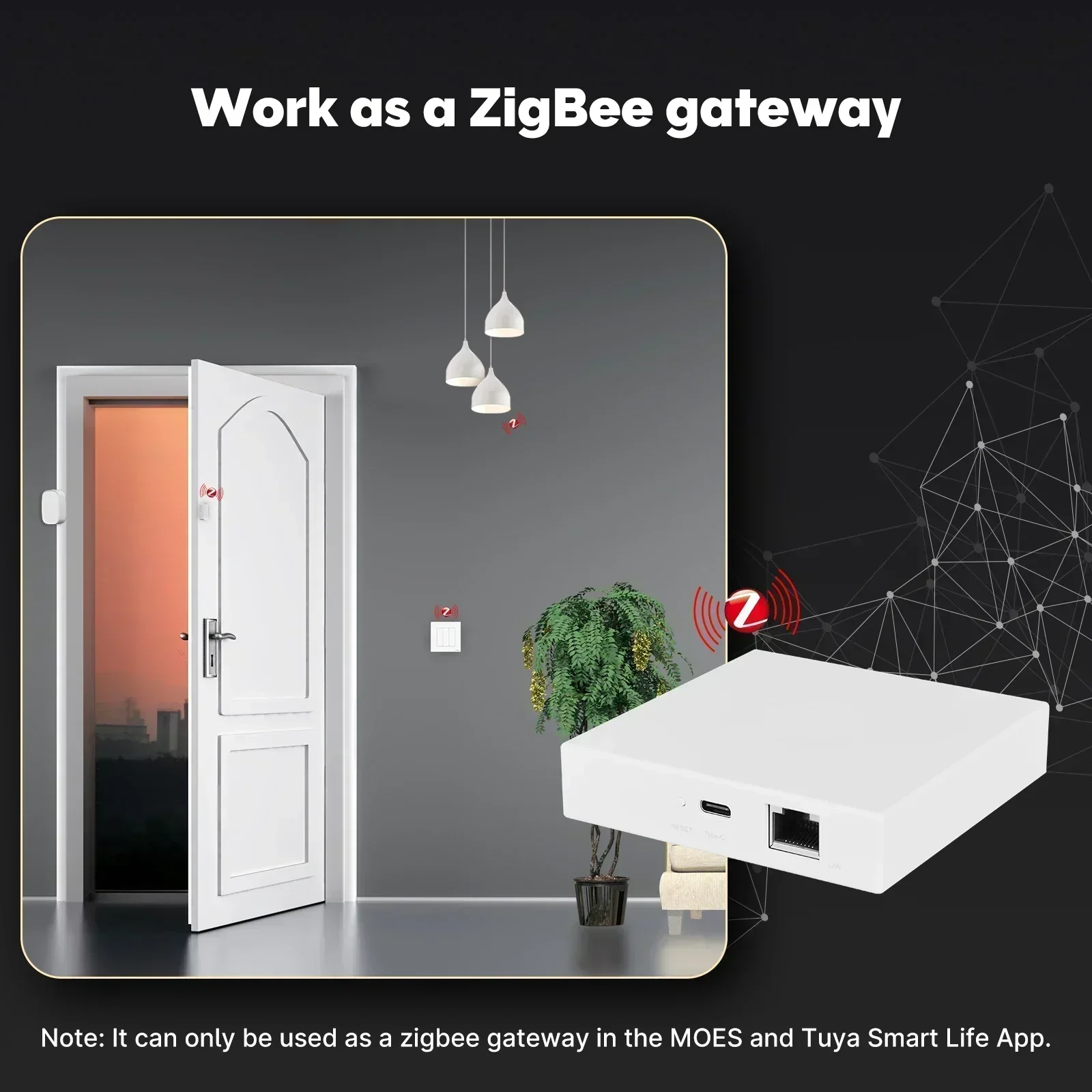 MOES Tuya Zigbee Matter Thread - Smart Home Group 评论和价格
