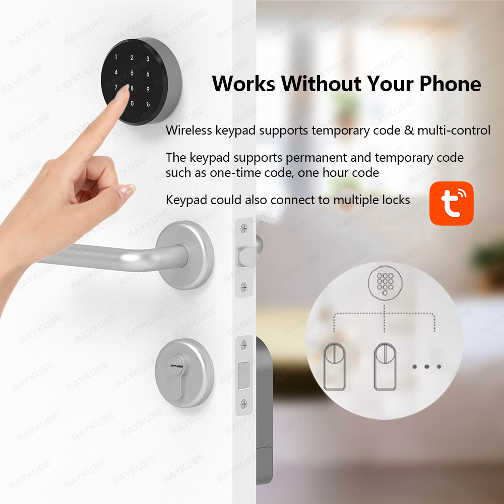 RAYKUBE A1 Pro Tuya BEL Smart  - Smart Home Lock 评论和价格