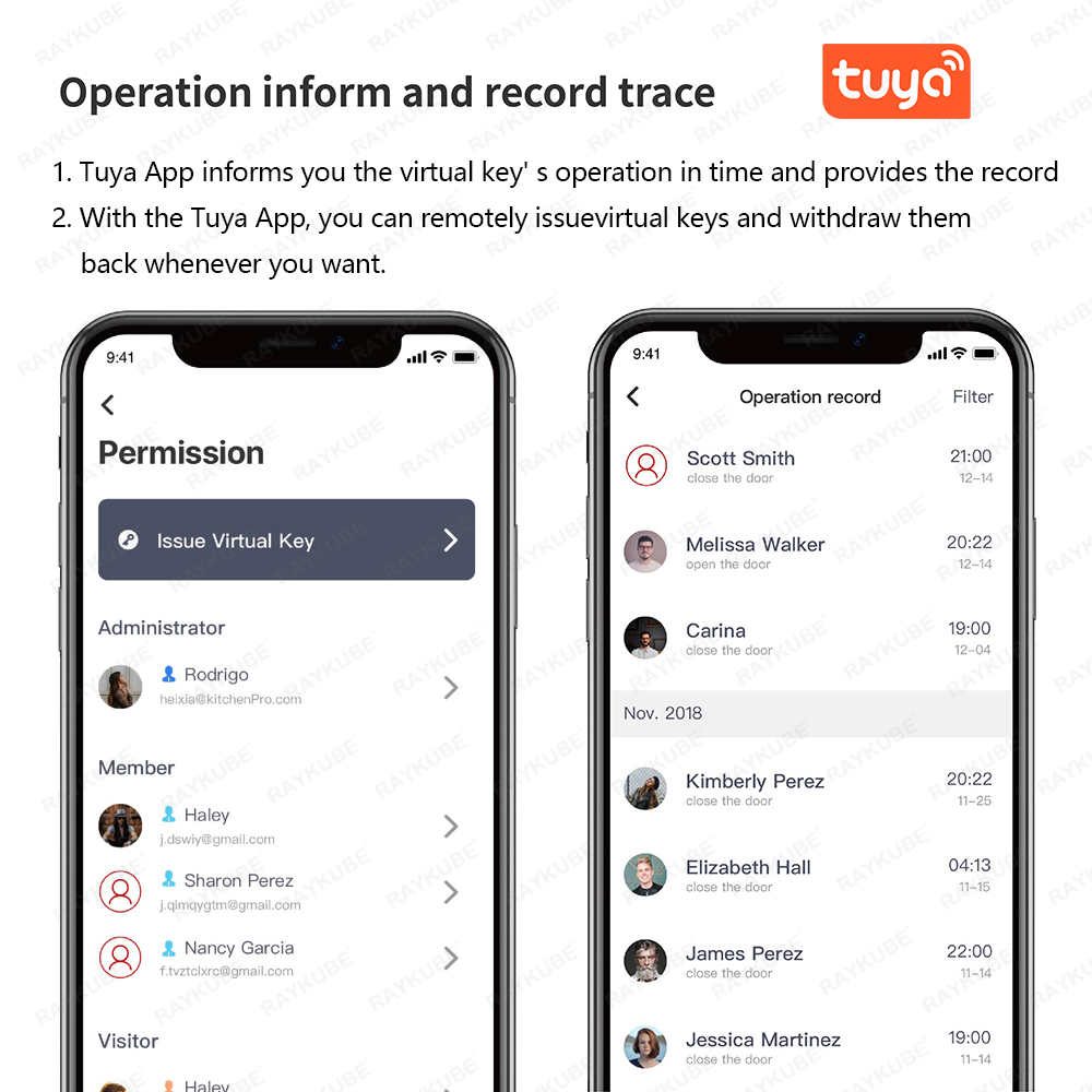RAYKUBE A1 Pro Tuya BEL Smart  - Smart Home Lock 评论和价格