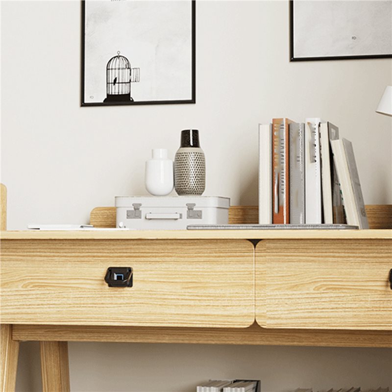 N13R-(Durable) 3X Smart Drawer - Smart Home Lock 评论和价格