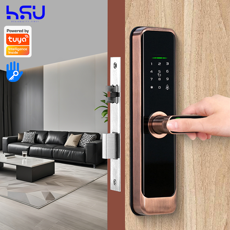 Digital Smart Doorlock Passcod - Smart Home Lock 评论和价格