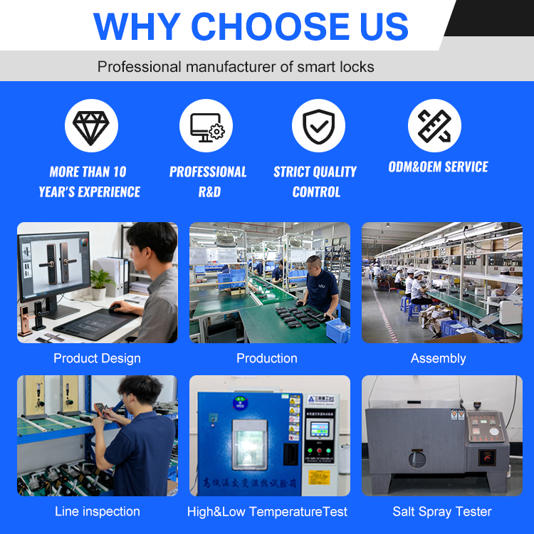 Digital Smart Doorlock Passcod - Smart Home Lock 评论和价格