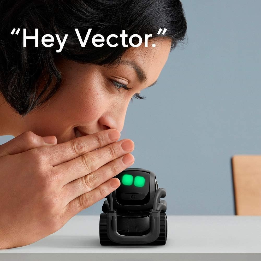 AI ChatGPT 2.0 Connected Robot - Smart Home Remote 评论和价格
