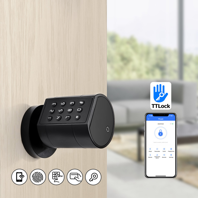 Smart Euro Cylindrical Door Lo - Smart Home Lock 评论和价格