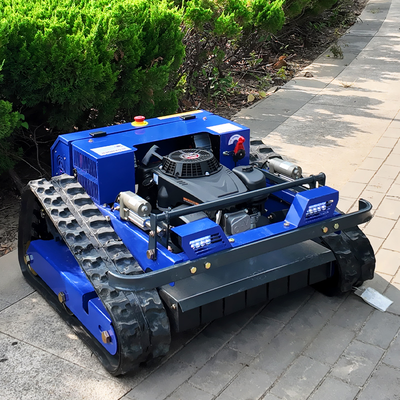 Customized Remote Control Lawn - Smart Home Remote 评论和价格