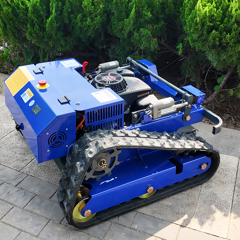 Customized Remote Control Lawn - Smart Home Remote 评论和价格