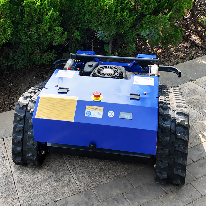 Customized Remote Control Lawn - Smart Home Remote 评论和价格