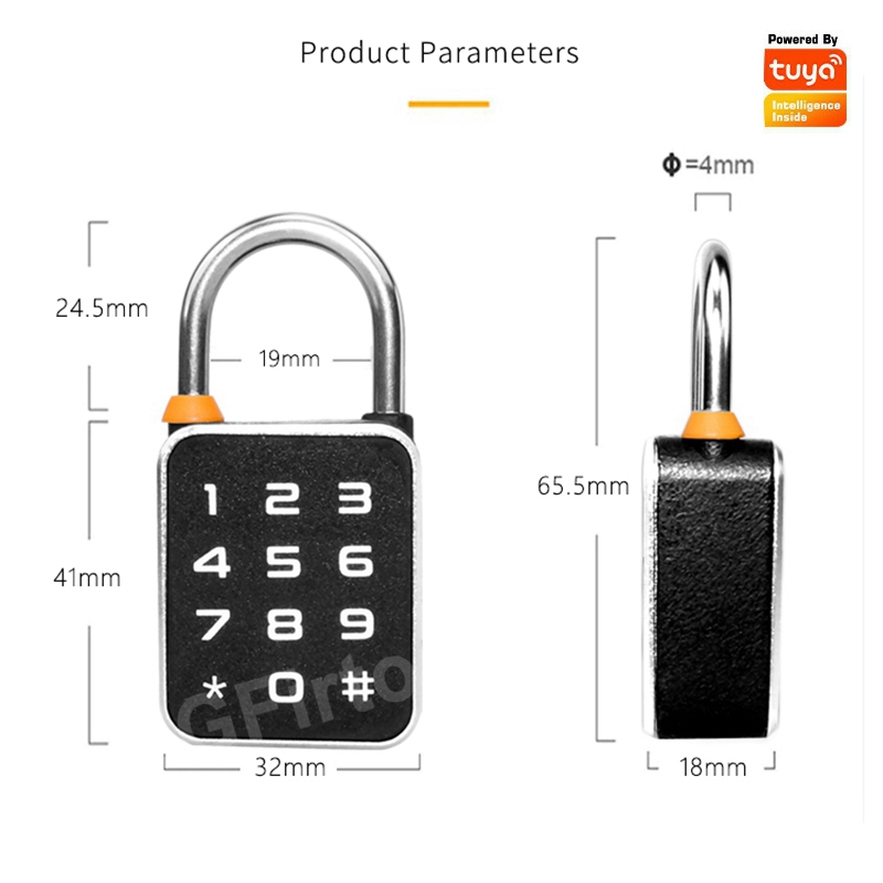 Tuya Bluetooth APP Password Co - Smart Home Lock 评论和价格