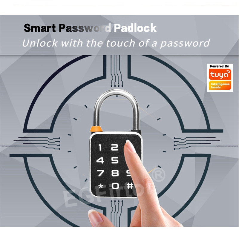 Tuya Bluetooth APP Password Co - Smart Home Lock 评论和价格
