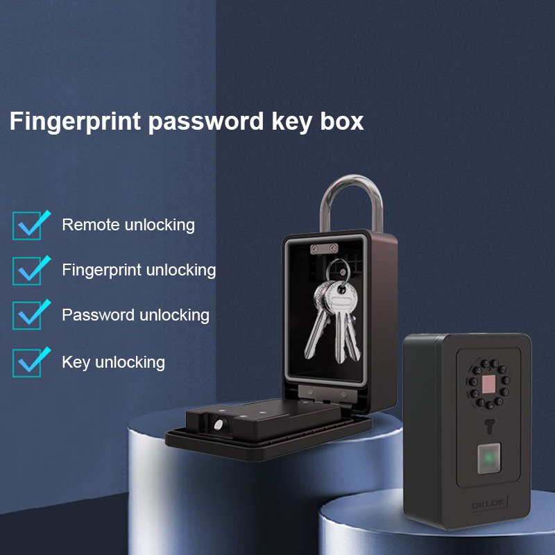 Intelligent Padlock Hang Desig - Smart Home Lock 评论和价格